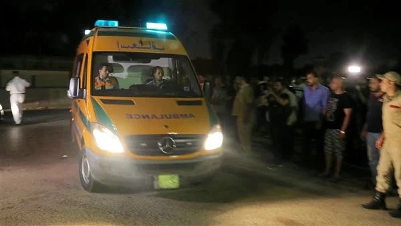 جريمة في زفتى.. ضبط شقيقين أنهيا حياة والدهما بسبب خلافات أسرية بالغربوية